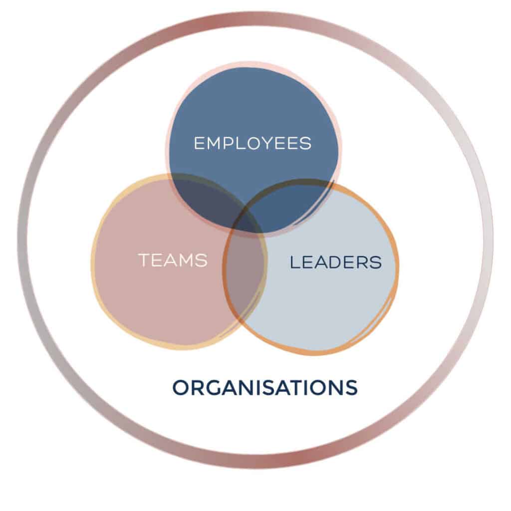Venn diagram showing eco system or an organisation with overaps between employees, teams and leaders